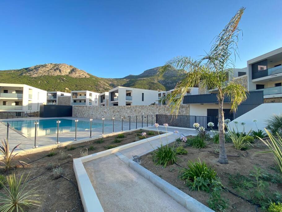 Exceptionnelle Vue Mer Calvi - Piscine - T2 Exterior foto
