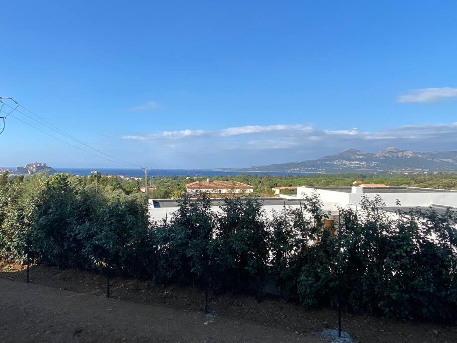 Exceptionnelle Vue Mer Calvi - Piscine - T2 Exterior foto